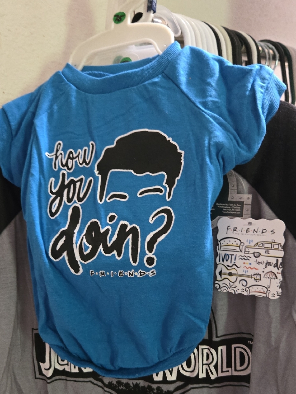 FRIENDS Blue "How You Doin?" Dog Shirt